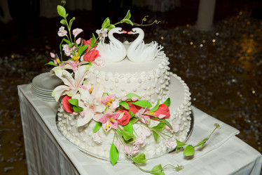 Similar image 340291