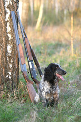 Similar image 340324