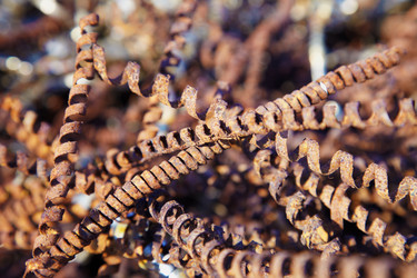 Similar image 340325