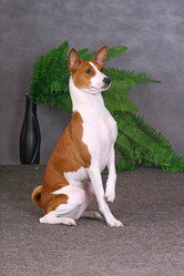 Similar image 340338