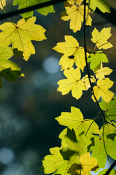 Similar image 340399