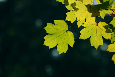 Similar image 340401