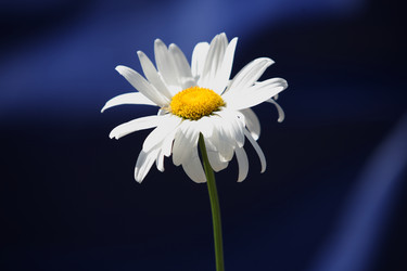 Similar image 340425