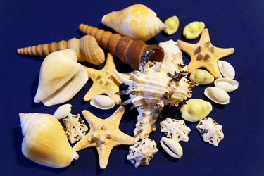 Similar image 340427