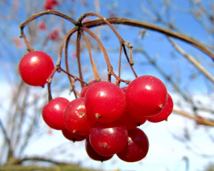 Similar image 340452