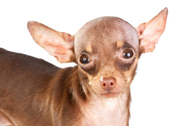 Similar image 340484