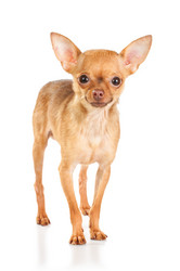 Similar image 340485