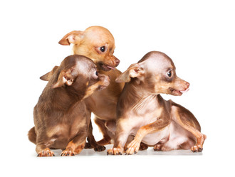 Similar image 340492