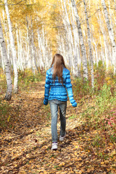 Similar image 340691