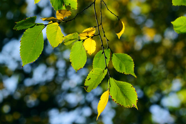 Similar image 340738