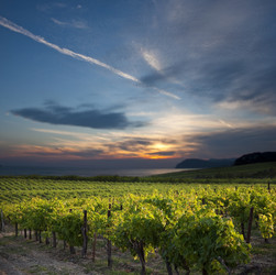 Similar image 340749