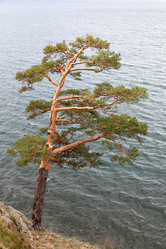 Similar image 340763