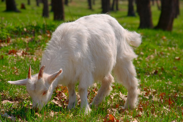 Similar image 340878