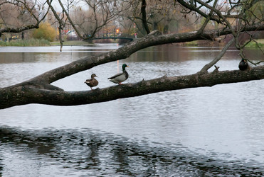 Similar image 340879