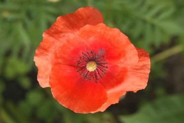 Similar image 341001