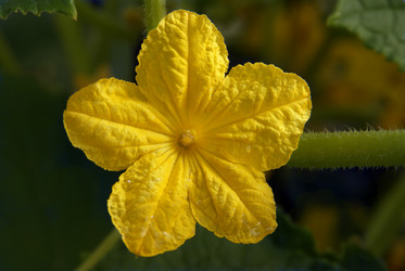 Similar image 341009