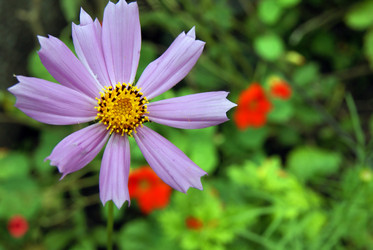 Similar image 341014