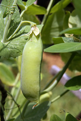 Similar image 341020