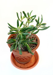 Similar image 341037