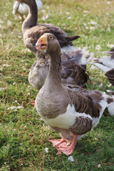 Similar image 341130