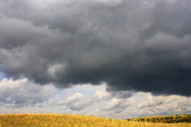 Similar image 341177