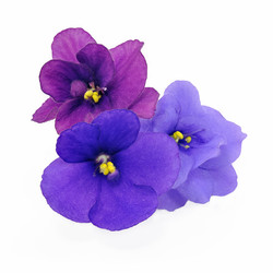 Similar image 341178