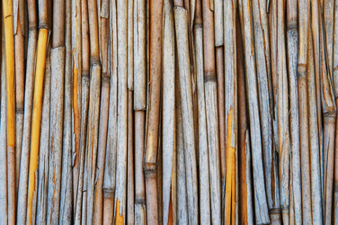 Similar image 341193