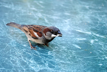 Similar image 341212