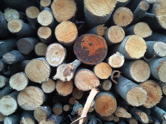 Similar image 341235