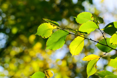 Similar image 341248