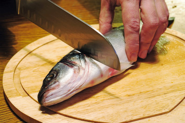 Similar image 341508