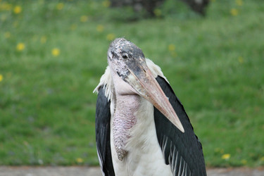 Similar image 341516