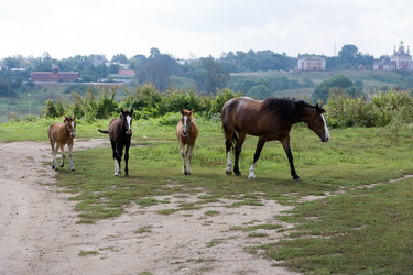 Similar image 341522