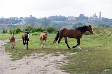 Similar image 341523