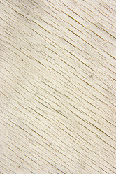 Similar image 341692