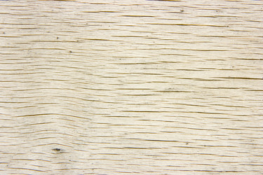 Similar image 341694