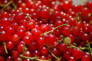 Similar image 341702