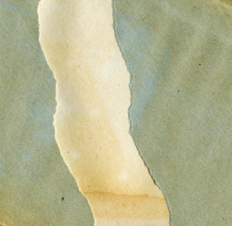 Similar image 341776