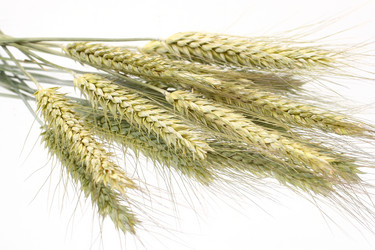 Similar image 341862