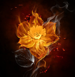 Similar image 341881