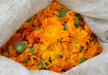 Similar image 341905