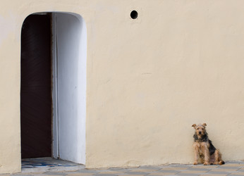 Similar image 341949