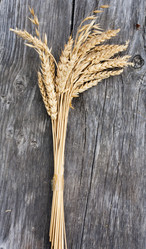 Similar image 342069