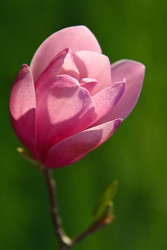 Similar image 342245