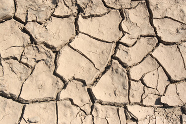 Similar image 342561