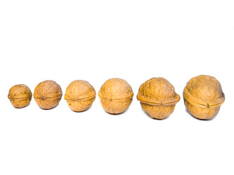 Similar image 342563