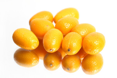 Similar image 342570