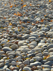 Similar image 342587