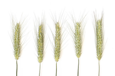 Similar image 342589