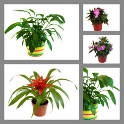 Similar image 342596